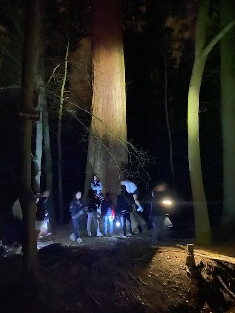 Nachtwanderung - Gruppe im Wald